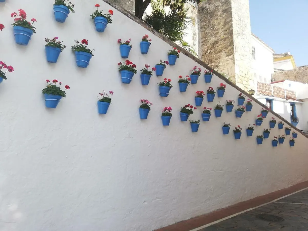 Villa Maya Marbella